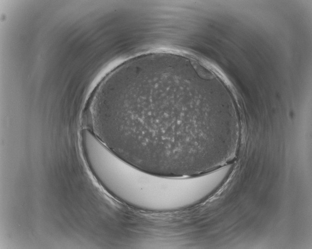 X0000085271048200703161425