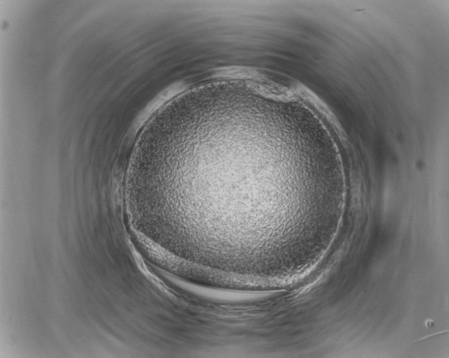 X0000085271049200703161425