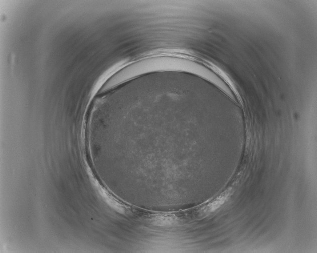 X0000085271050200703161425