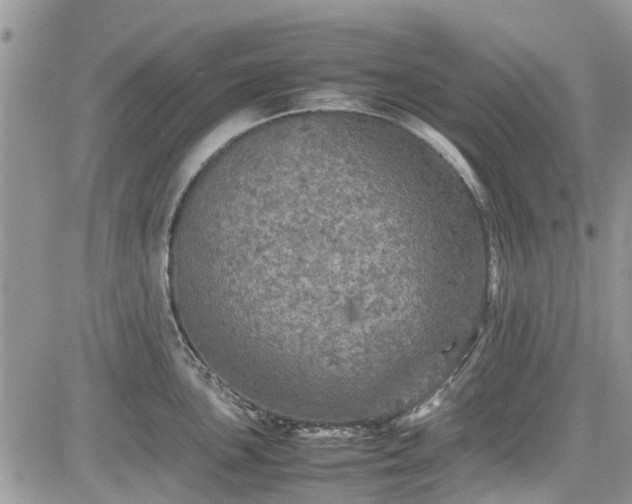 X0000085271051200703161425