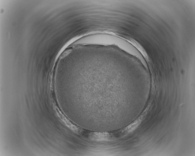 X0000085271052200703161425