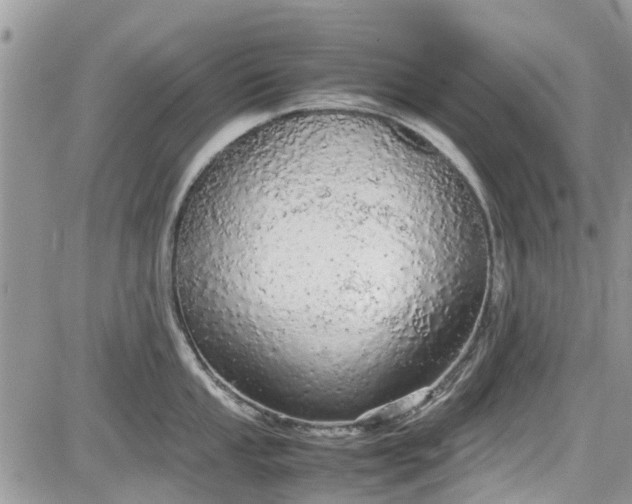 X0000085271053200703161425