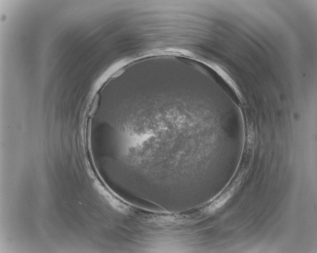 X0000085271054200703161425