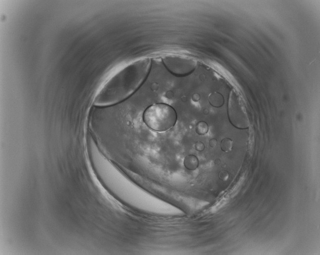 X0000085271055200703161425