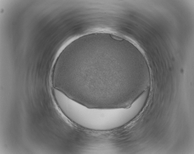 X0000085271056200703161425