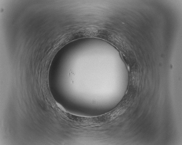 X0000085271057200703161424