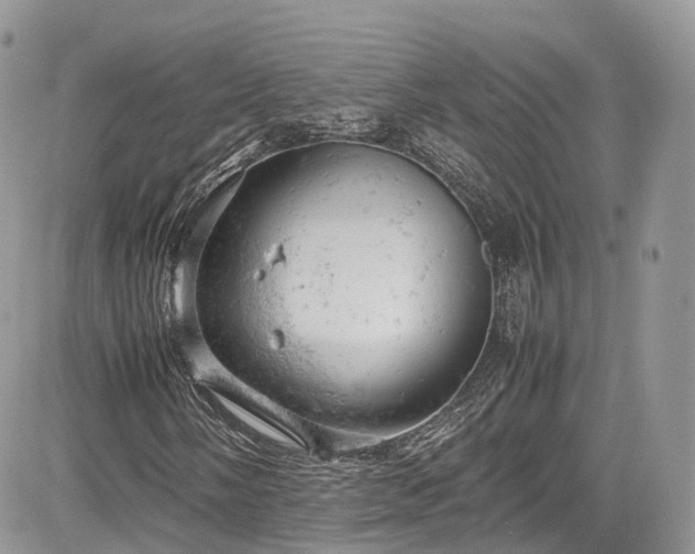 X0000085271058200703161424