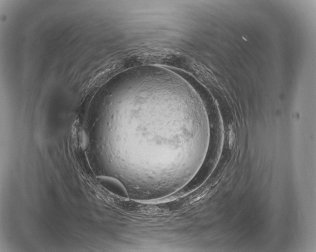 X0000085271059200703161424