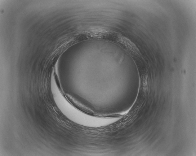 X0000085271060200703161424