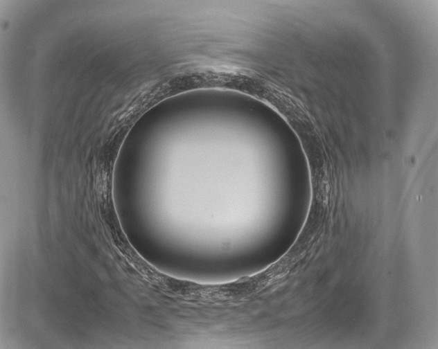 X0000085271061200703161424