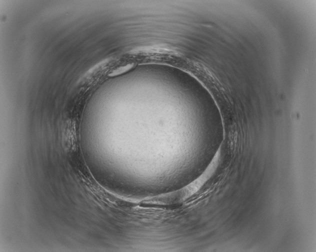 X0000085271062200703161424