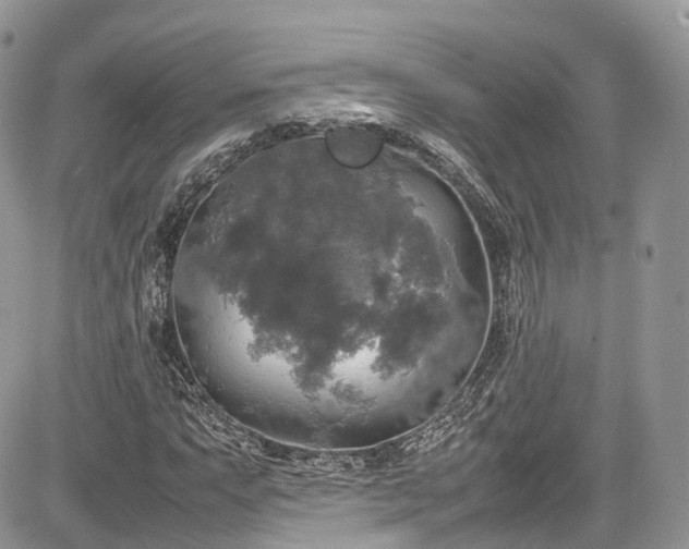 X0000085271063200703161424