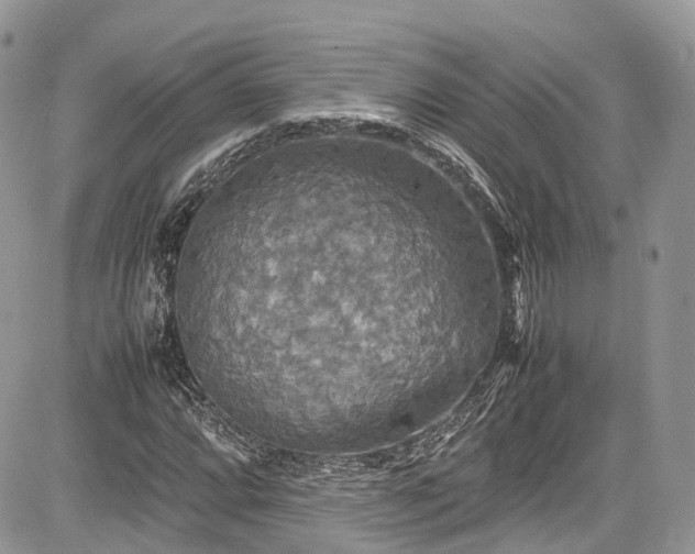 X0000085271064200703161424