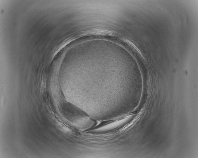 X0000085271065200703161424