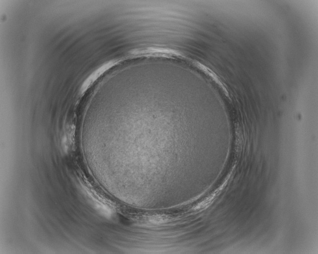 X0000085271066200703161424