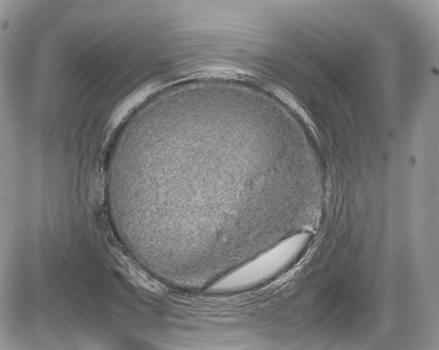 X0000085271067200703161424