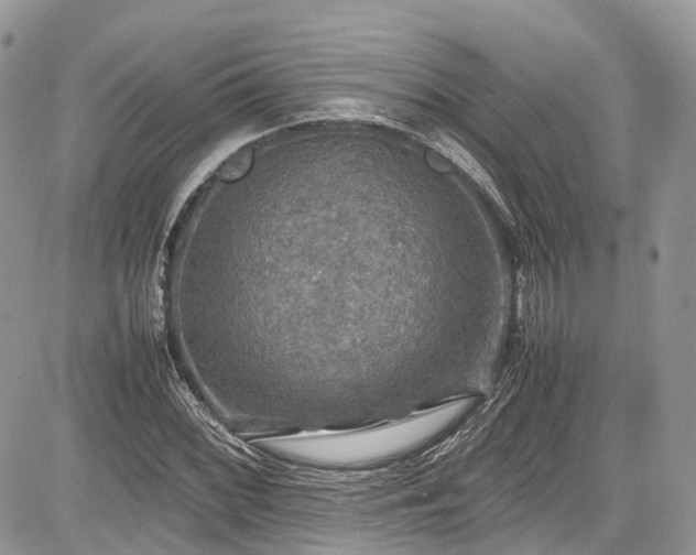 X0000085271068200703161424