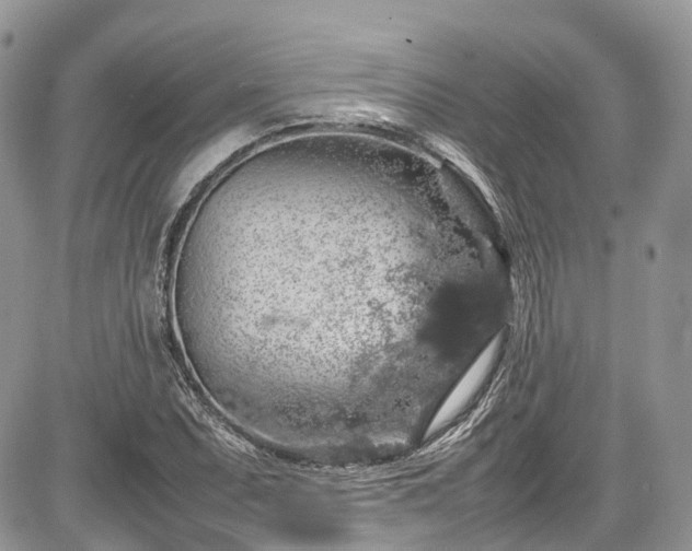 X0000085271071200703161424