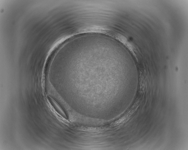 X0000085271072200703161424