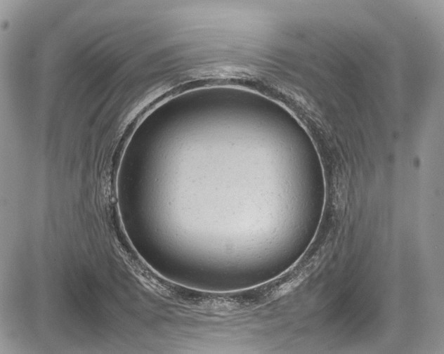 X0000085271073200703161424