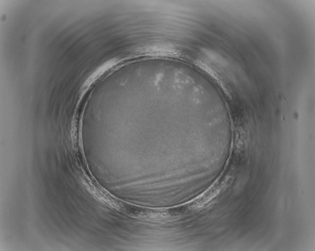 X0000085271074200703161424