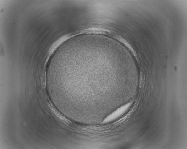 X0000085271075200703161424