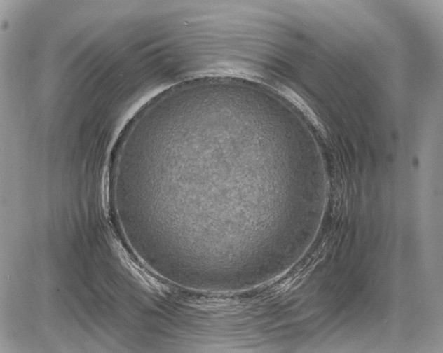 X0000085271076200703161424