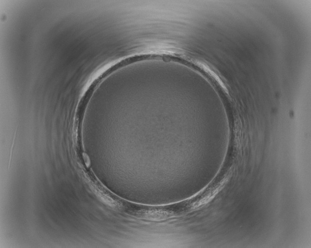 X0000085271077200703161424