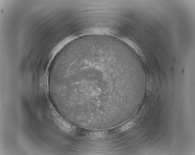 X0000085271078200703161424