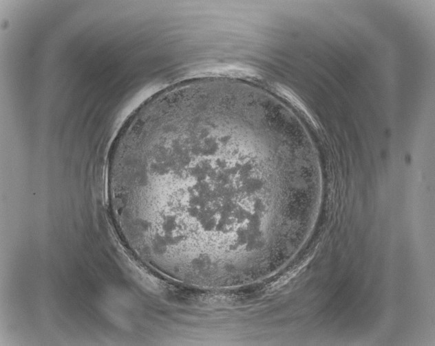 X0000085271079200703161424