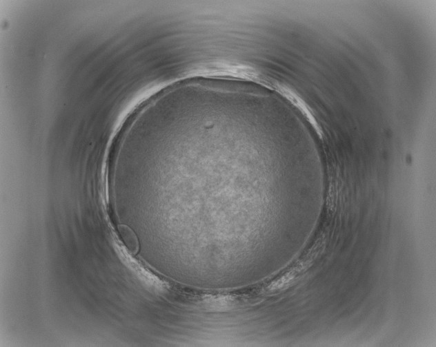 X0000085271080200703161424