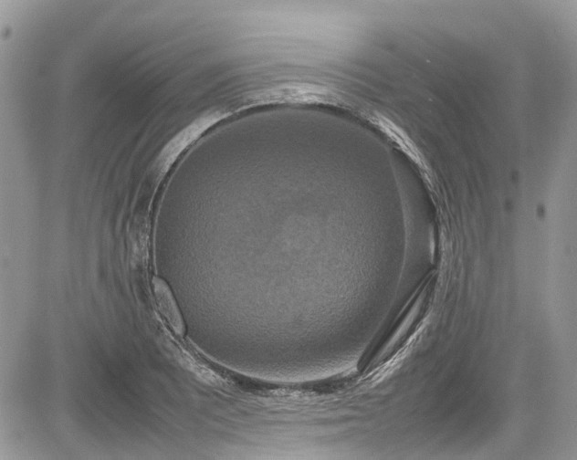 X0000085271081200703161423