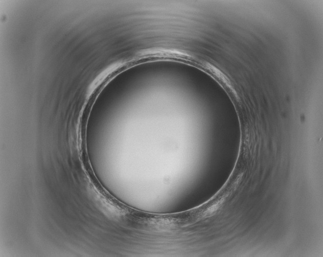 X0000085271082200703161423