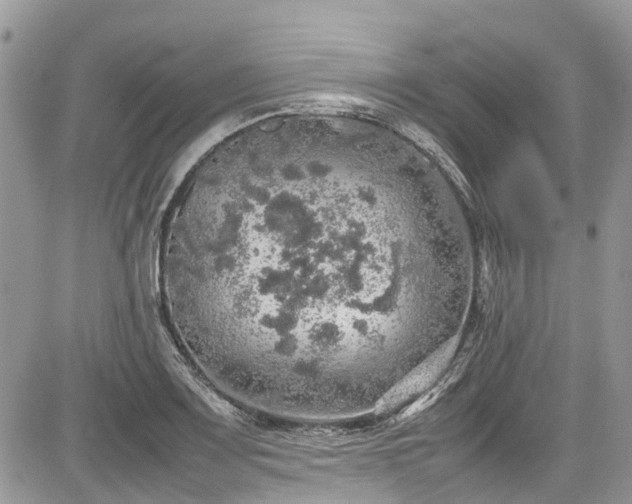 X0000085271083200703161423