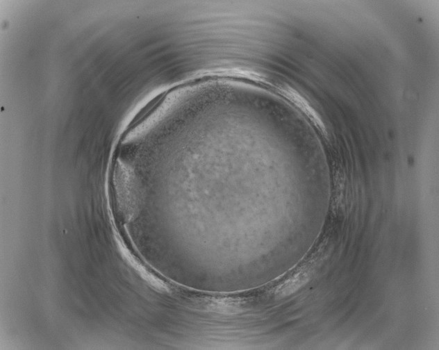 X0000085271084200703161423