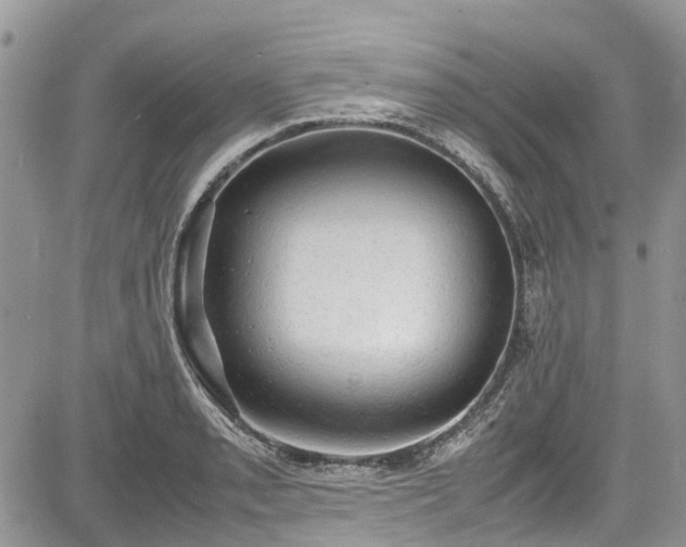 X0000085271085200703161423