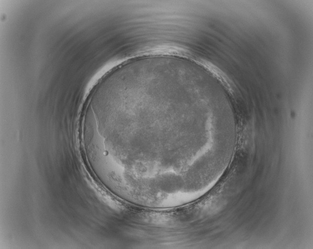 X0000085271086200703161423