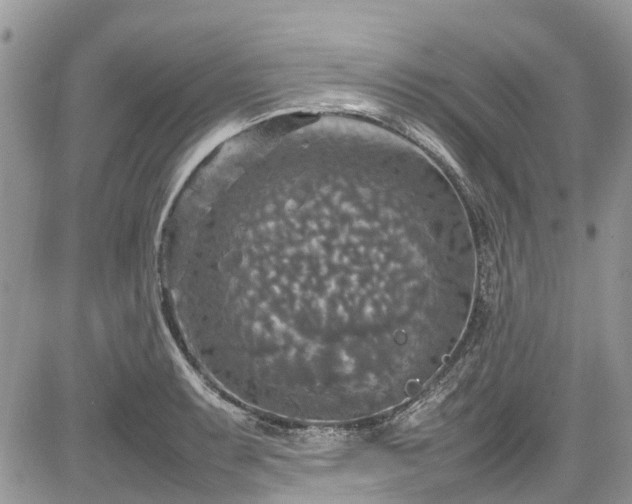 X0000085271087200703161423