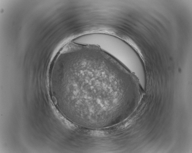 X0000085271088200703161423