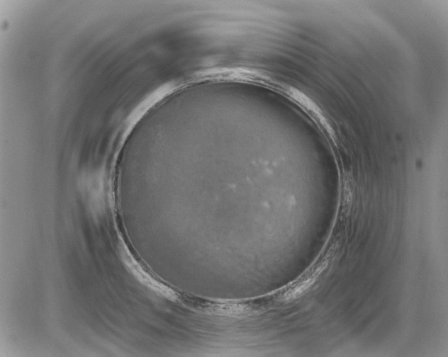 X0000085271090200703161423