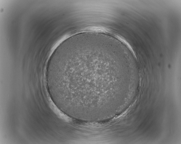 X0000085271091200703161423