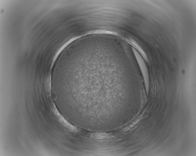 X0000085271092200703161423