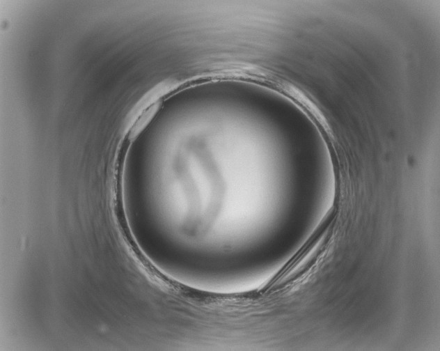 X0000085271093200703161423