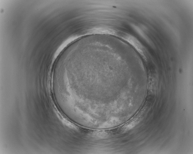 X0000085271094200703161423