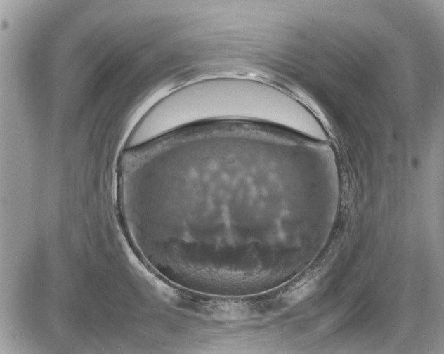 X0000085271095200703161423