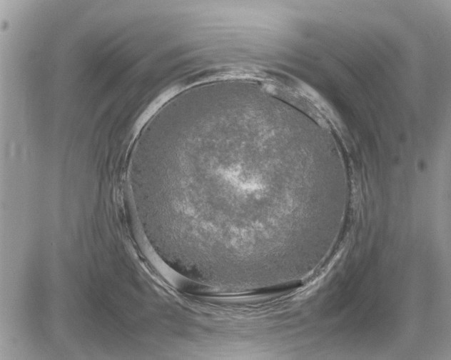 X0000085271097200703161423