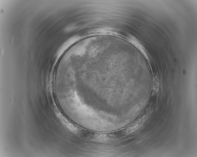 X0000085271098200703161423