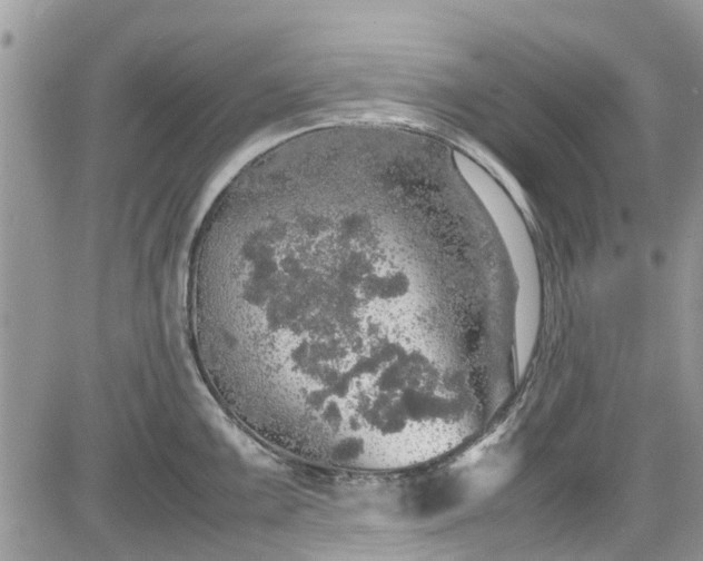 X0000085271099200703161423