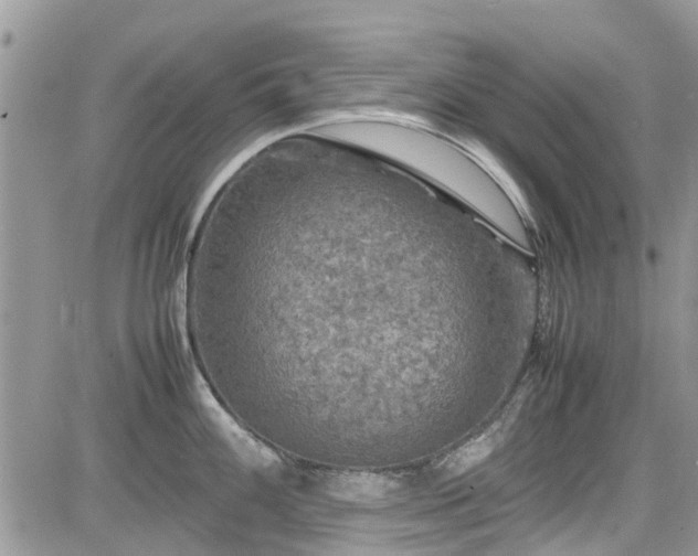 X0000085271100200703161423