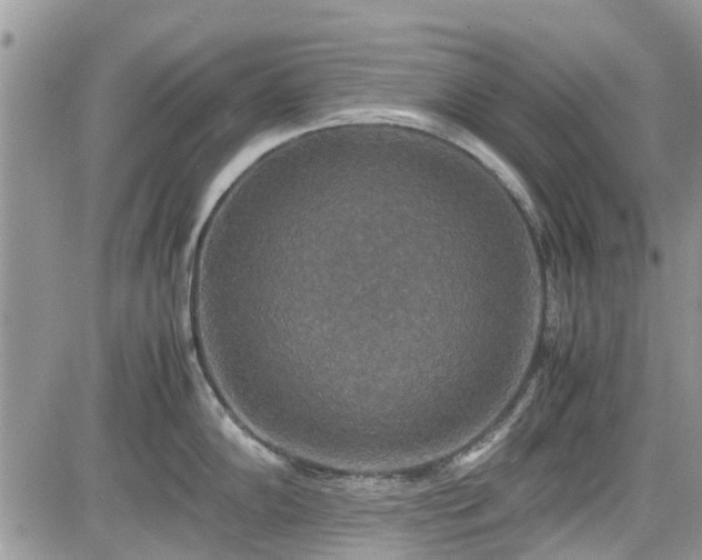 X0000085271102200703161423